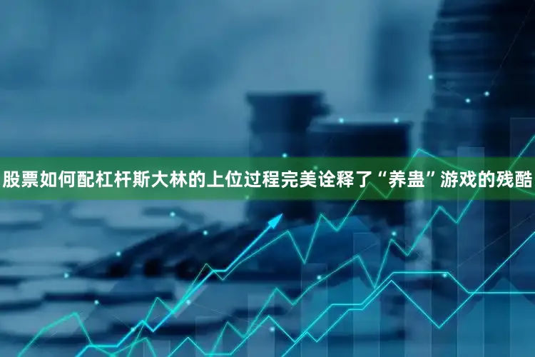 股票如何配杠杆斯大林的上位过程完美诠释了“养蛊”游戏的残酷