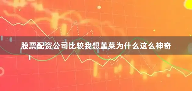 股票配资公司比较我想韮菜为什么这么神奇