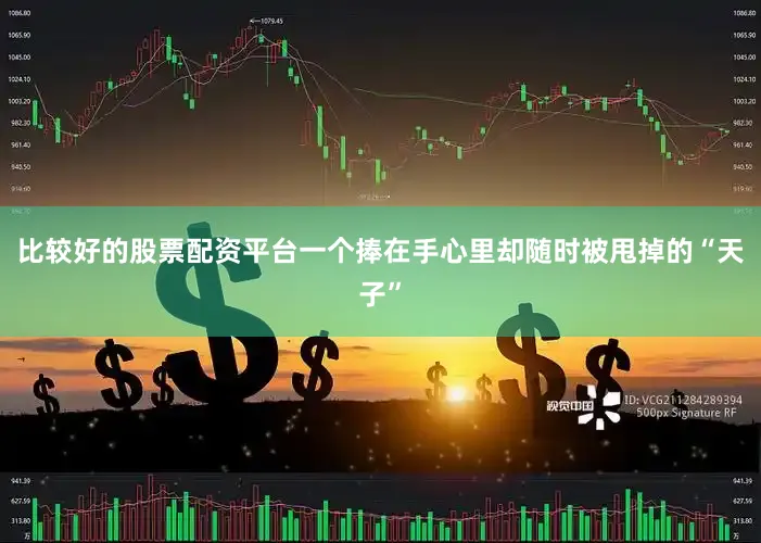 比较好的股票配资平台一个捧在手心里却随时被甩掉的“天子”