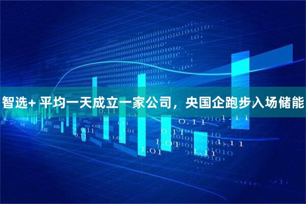 智选+ 平均一天成立一家公司，央国企跑步入场储能