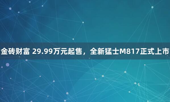 金砖财富 29.99万元起售，全新猛士M817正式上市