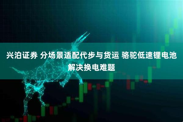 兴泊证券 分场景适配代步与货运 骆驼低速锂电池解决换电难题